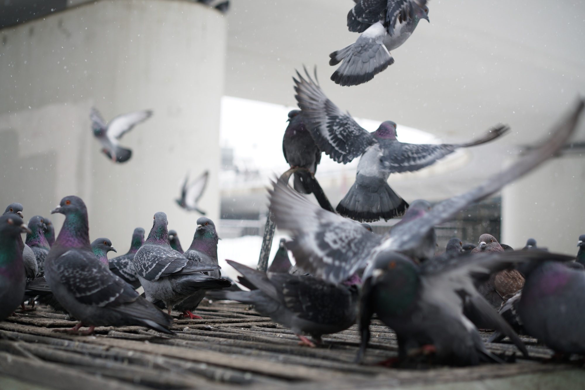 Background