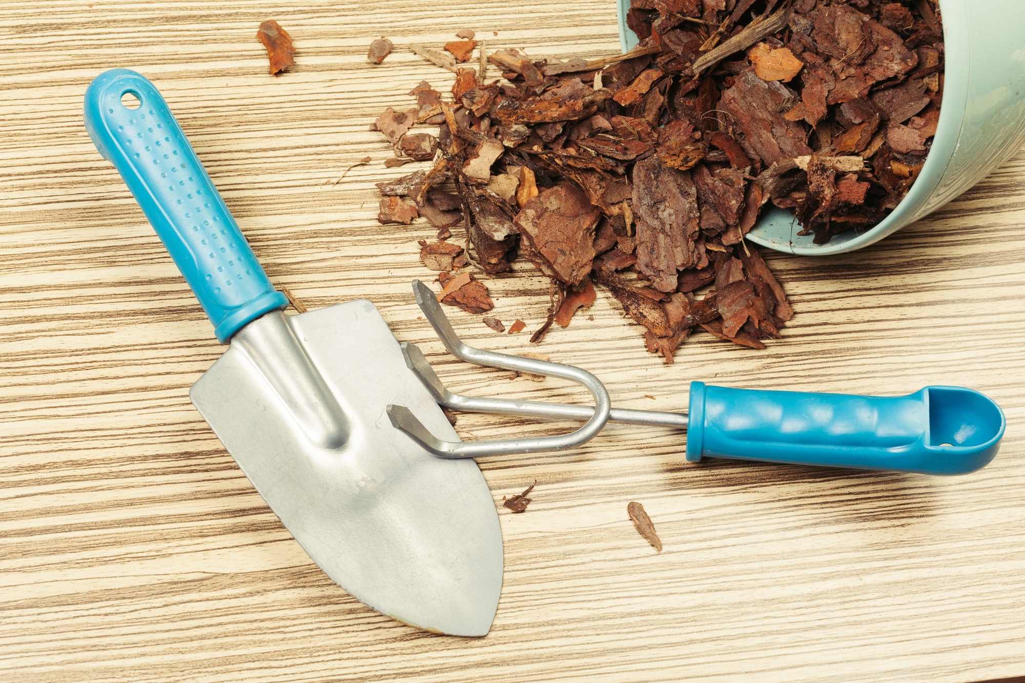 Background