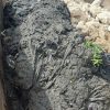 100-tonne blockage cleared from west London sewer