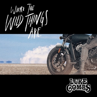 Where The Wild Things Are by Luke Combs cover artwork