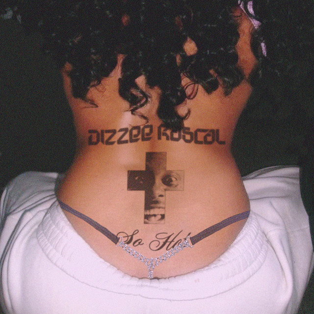 So Hot by Dizzee Rascal cover artwork