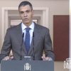 Sanchez calls snap general election